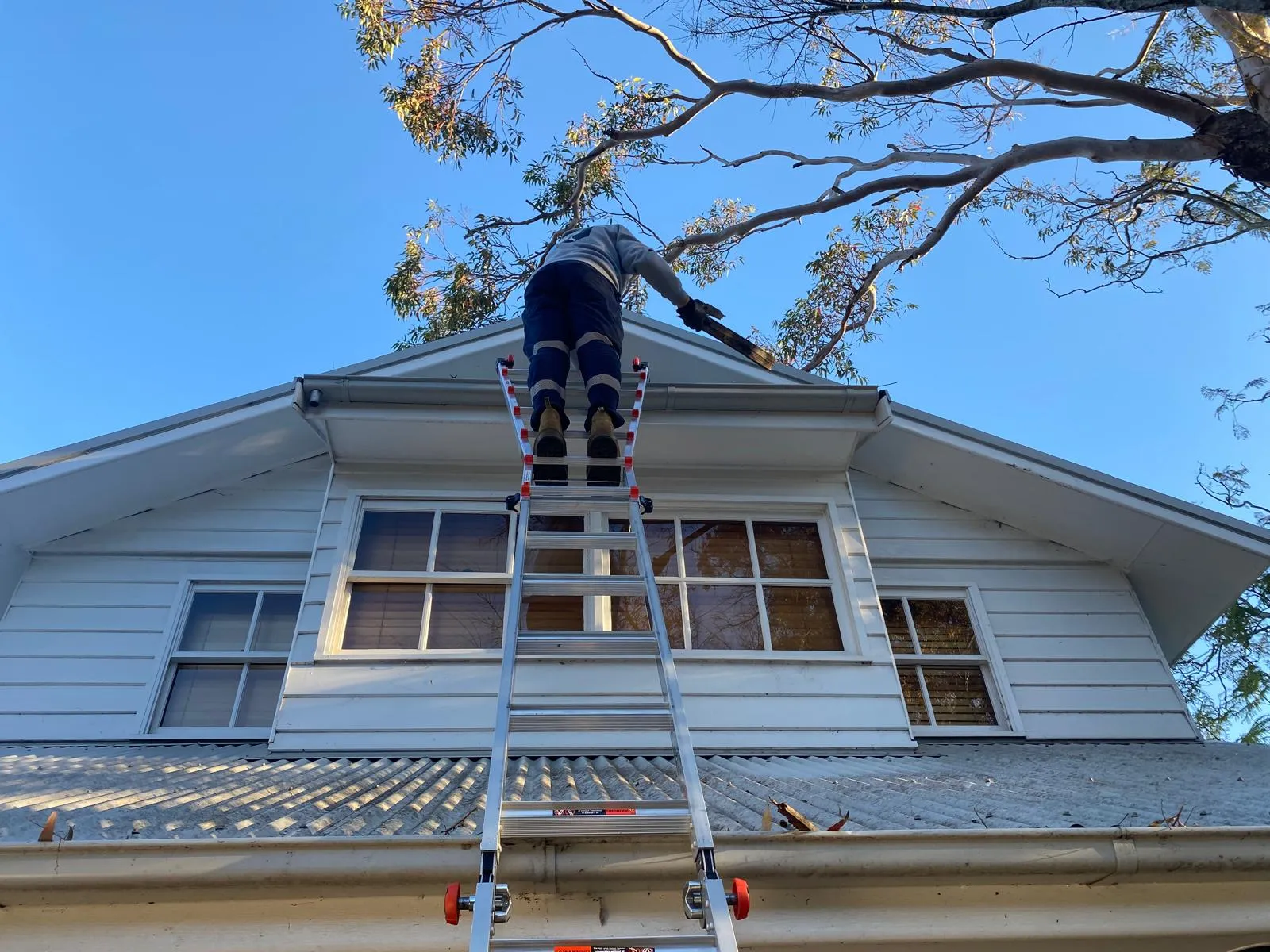 Gutter Cleaning Services