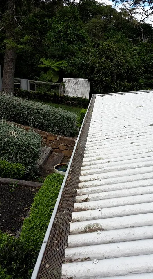 Gutter Cleaning Services