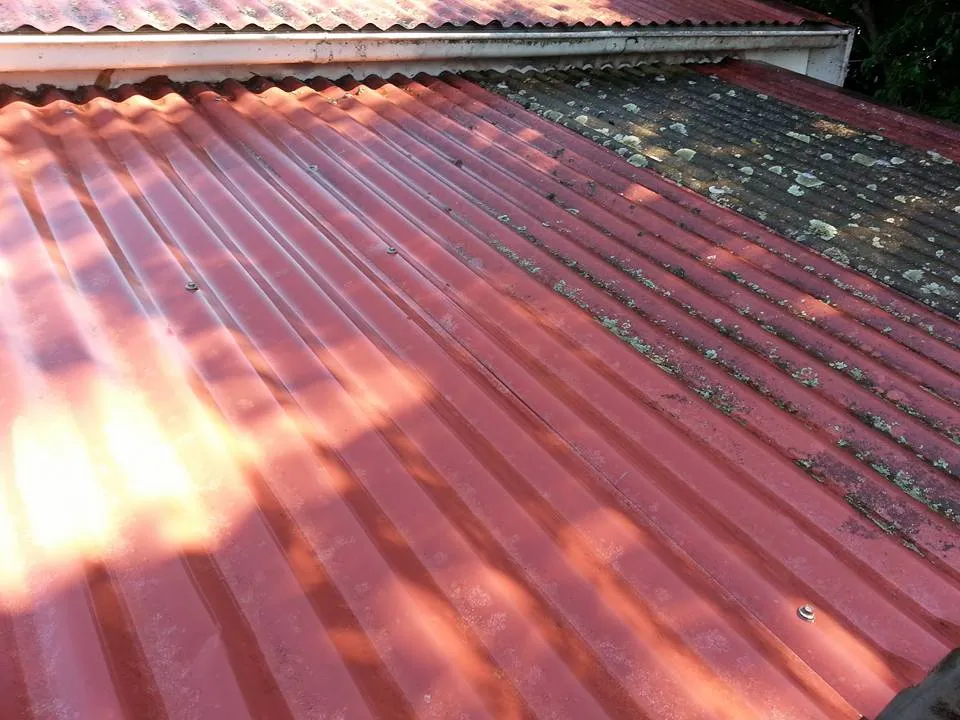 Pressure Washing & Soft Washing