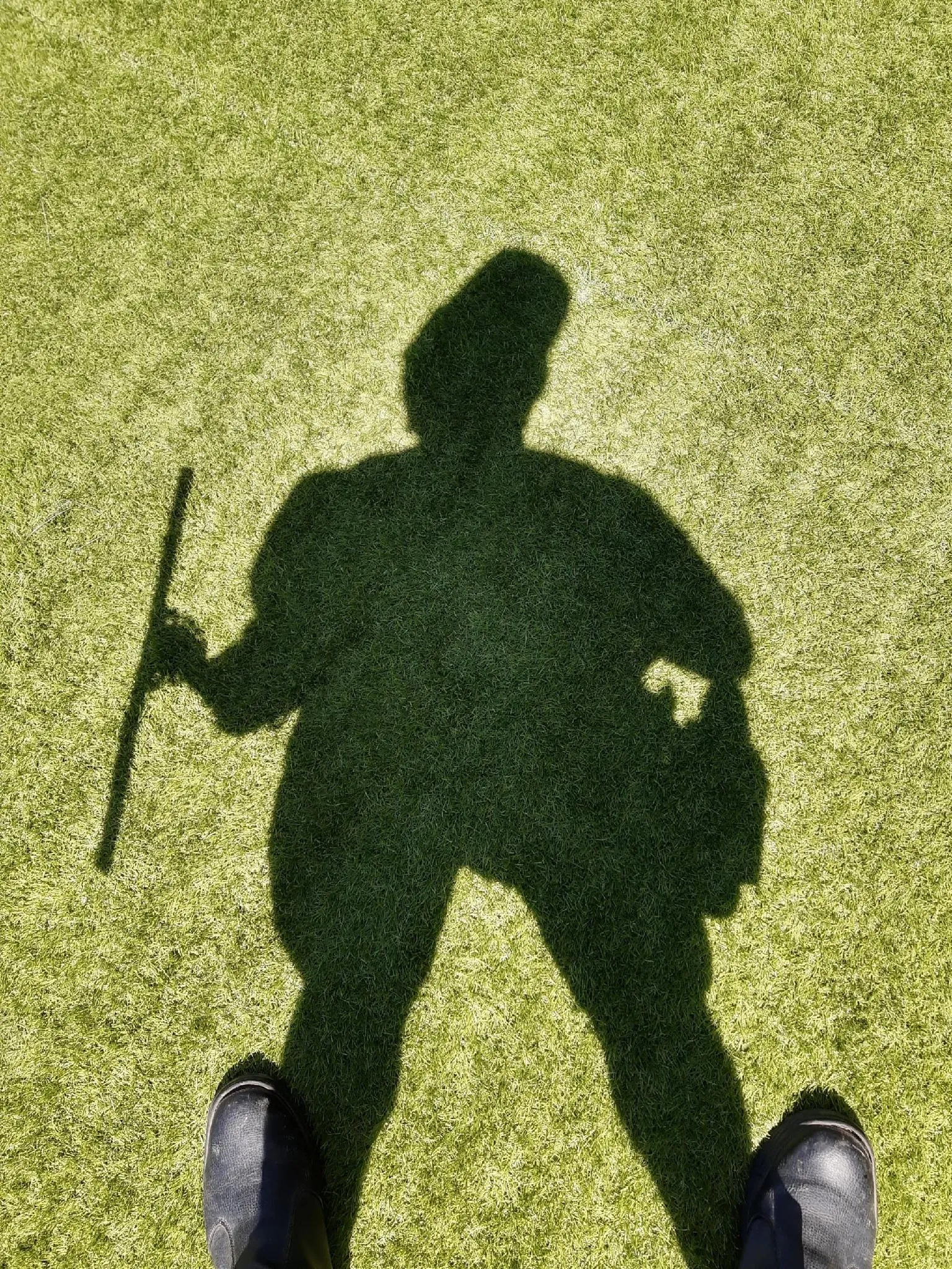 Wollongong Window Cleaning Experts